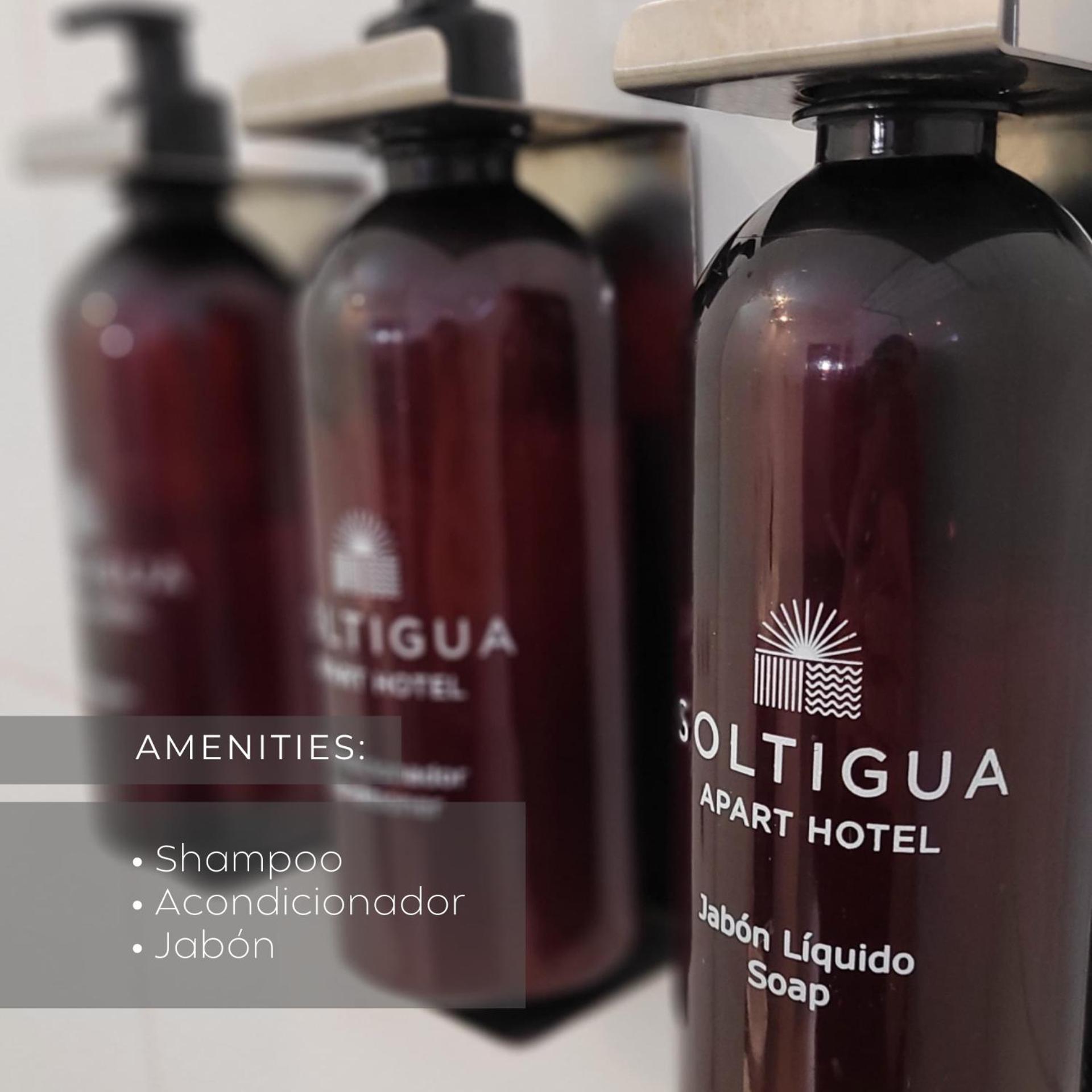 Soltigua Apart Hotel Mendoza Bagian luar foto